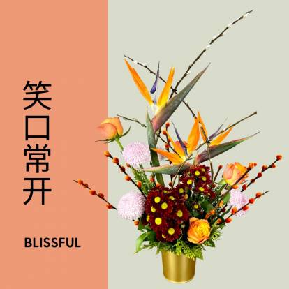 固阳如意 - Blissful