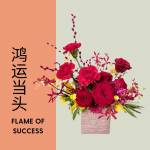 鸿运当头 - Flames of Success