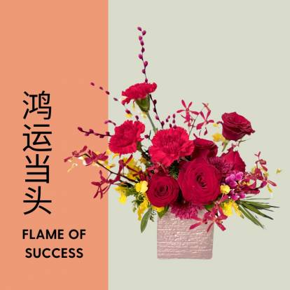 鸿运当头 - Flames of Success