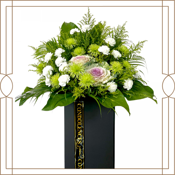 Compassion Collection