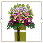 Compassion Collection