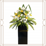Compassion Collection
