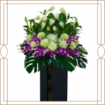 Compassion Collection