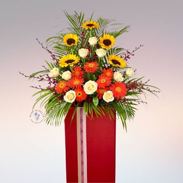 Congratulatory Collection
